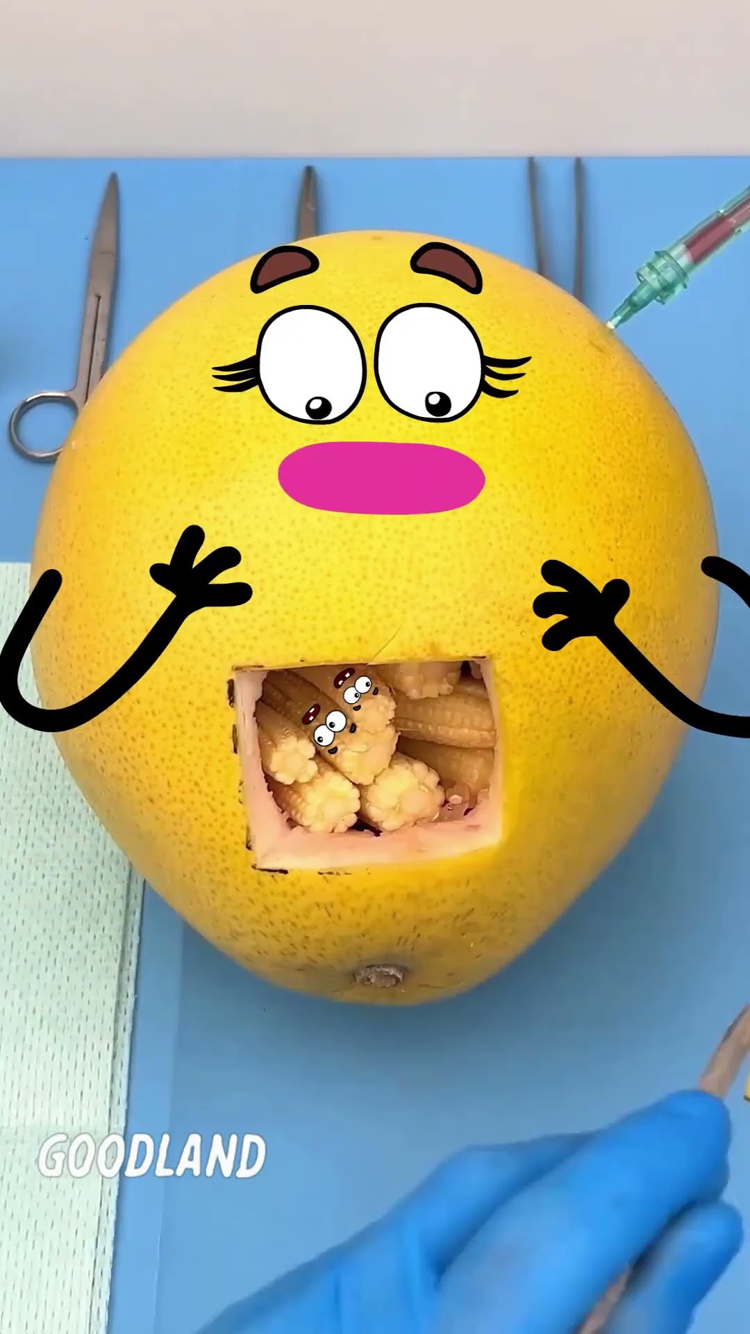 Goodland | Operation on pomelo, birth of corn ? #doodles #animation #cartoon #GOODLAND