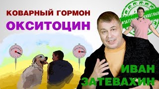 08 || Коварный гормон окситоцин || Затевахин о Животных 08 || Коварный гормон окситоцин || Затевахин о Животных