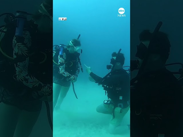 Man proposes to girlfriend while scuba diving off Fiji coast