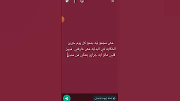 مش مجمع ليه بدمع كل يوم حزين 