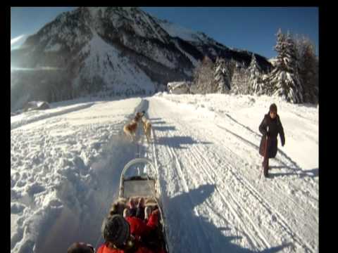 CHIENS DE TRAINEAUX à Pralognan-la-Vanoise