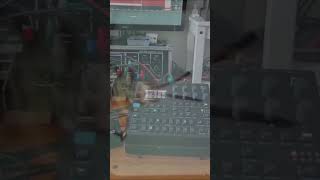 Digitone 2 ambient stormy piece. #digitone #sounddesign #ambientmusic #elektron