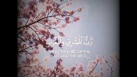 واذكر اسم ربك وتبتل إليه تبتيلا 🌷 عبد الرحمن مسعد حالات واتس اب دينية قصيرة مؤثرة قرآن كريم