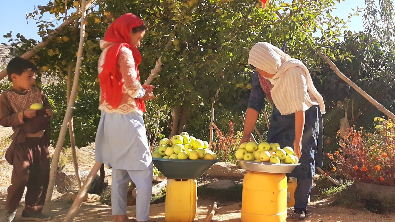 Pure and fresh native apples Daily life in Afghanistan YouTube