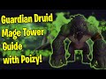Dragonflight guardian druid mage tower guide  fel werebear form