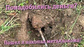 Понадобились деньги? Пошел и накопал металлолома!