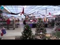 Kerstmarkt kwekerij Heiloo bij De Buitenkans op GGZ-terrein (15 december 2014)