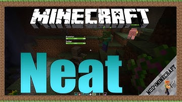 Neat Mod 1.16.4/1.12.2/1.7.10 & Tutorial Downloading And Installing For Minecraft