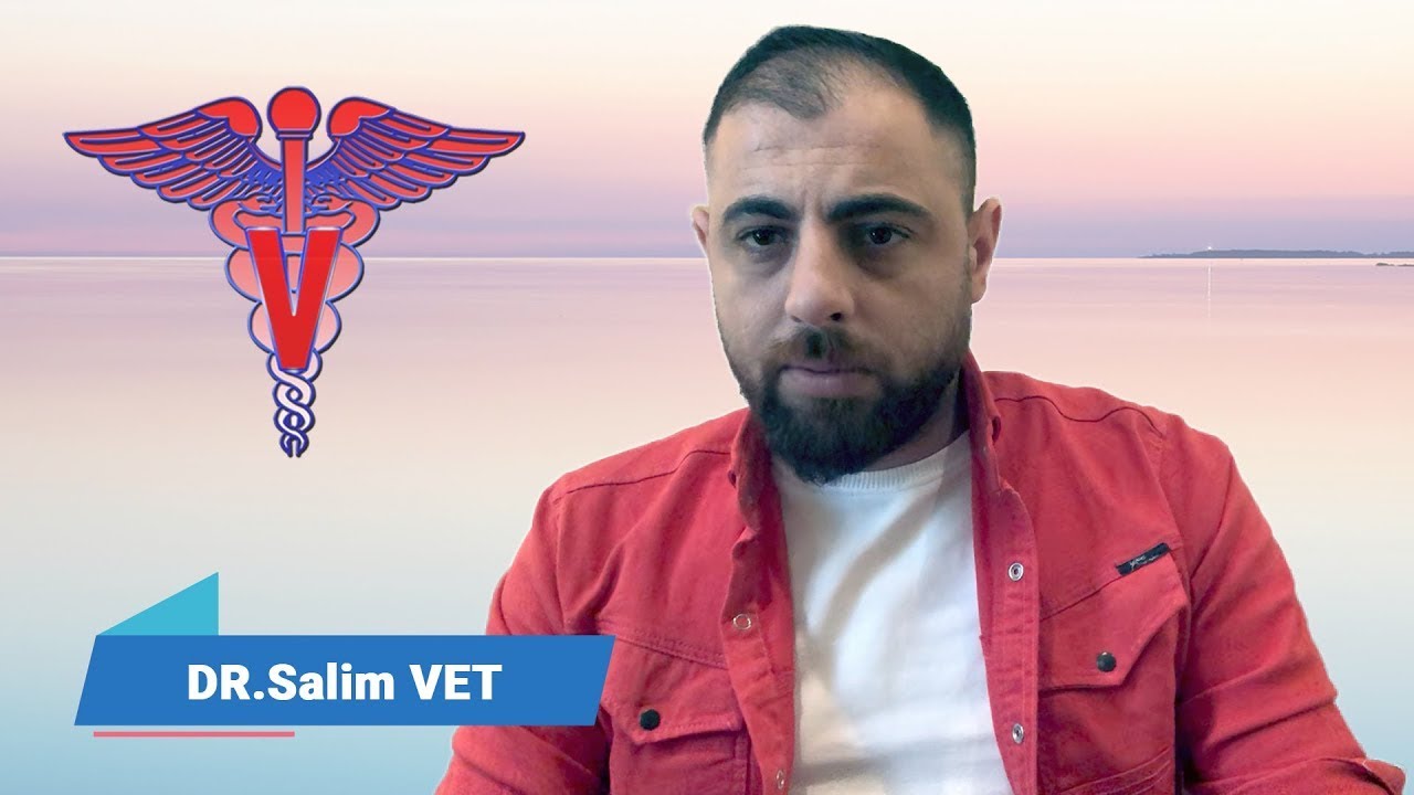 المايكوبلازما (أبو رمح)