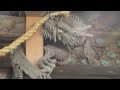 2柱の昇り龍が見守る神社に行きました