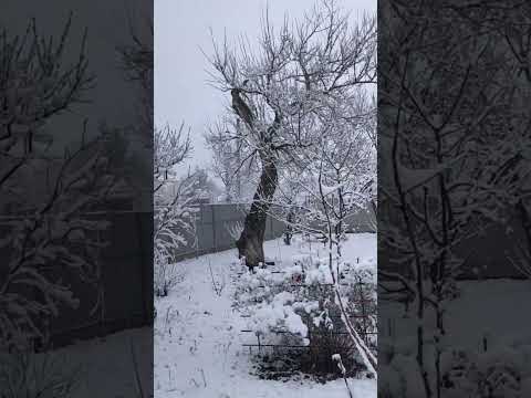 winter in Kuban2@