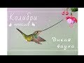 Колибри мечеклюв самый длинный клюв/Hummingbird macklow