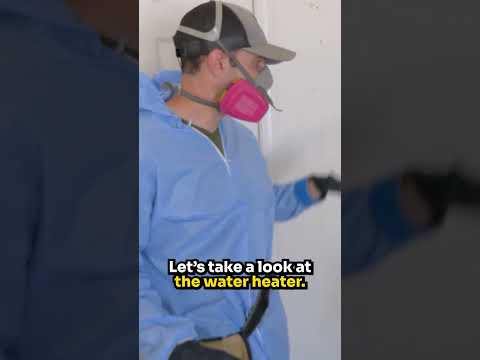 Finding Hidden Mold