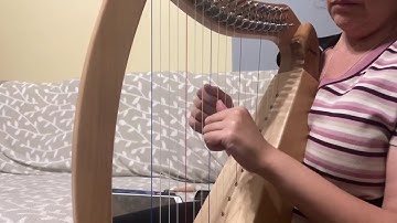 Haze 19 string harp   playing