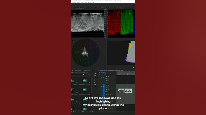 Filmmakers: Use Lumetri Scopes to check Exposure in Premiere Pro #shorts