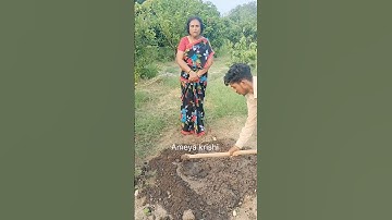 బొగ్గు తయారయ్యాక అడుక్కి ఉన్న పొడిని కూడా వాడుకోవచ్చు#ameyakrishi @biocharchannel#shorts #biochar