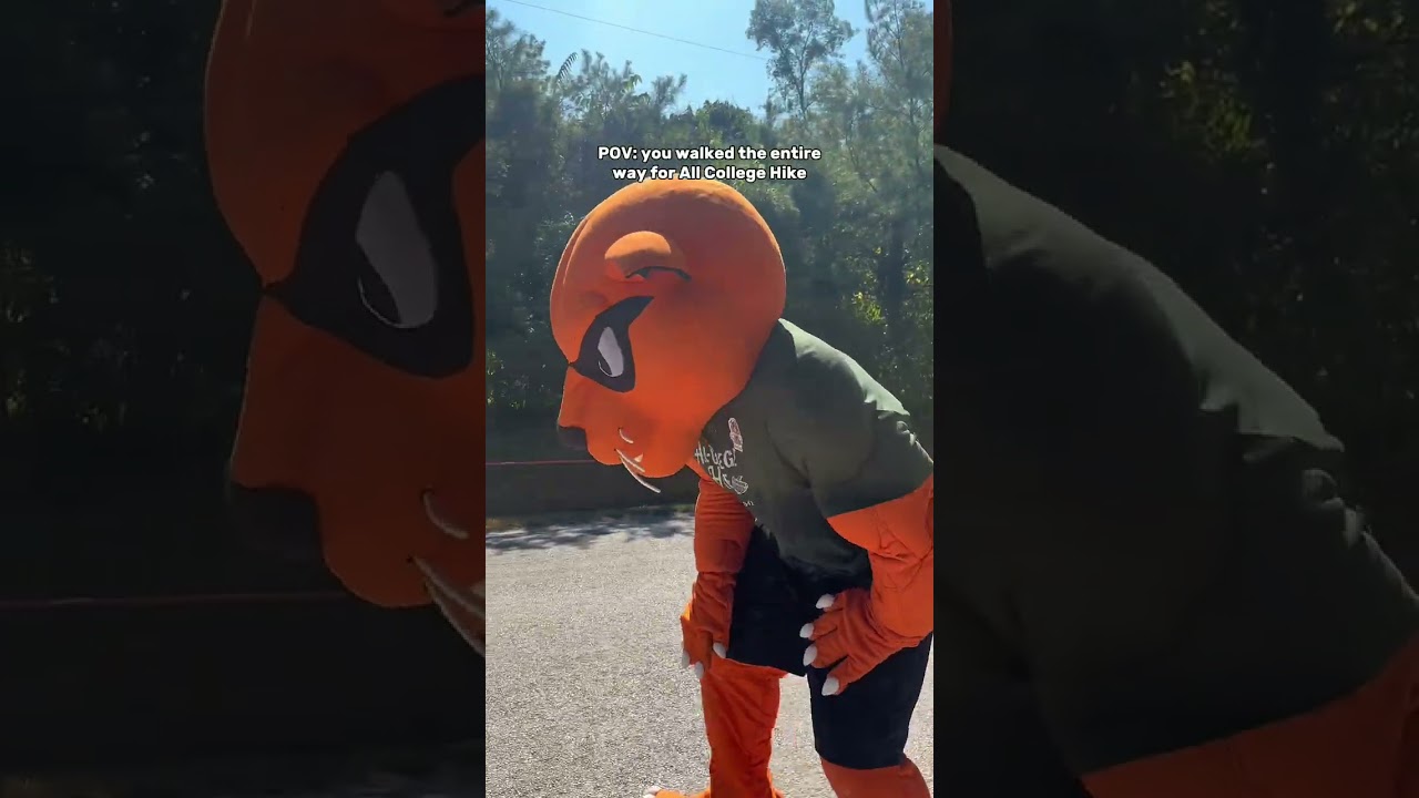 POV: you walked the entire way for All College Hike 