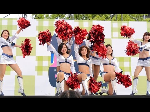 CHEERLEADER JAGUARS in Kobe festival 2015, Japan.
by GP72SHELL