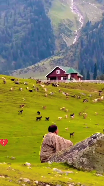 Are Re Are Ye Kya Hua New Status Video Video 2023 #shorts #viral #lovesong #whatsapp