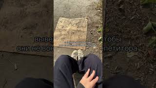 ИНДИВИДУАЛЬНЫЙ ОПЫТ! Автор видео: vivdqq #юмор #мемас #комментарии #прикол #мем #мемы