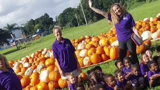 Pumpkin Patch at Early Learning Center of Sunrise