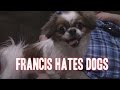 FRANCIS MEETS SAMMY THE DOG