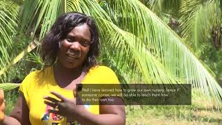 Meet Vida || The Ghanaian Nursing Mother || Making Millions From 150 Acre Coconut farm 👌