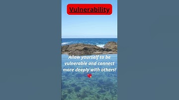 Vulnerability #integrity