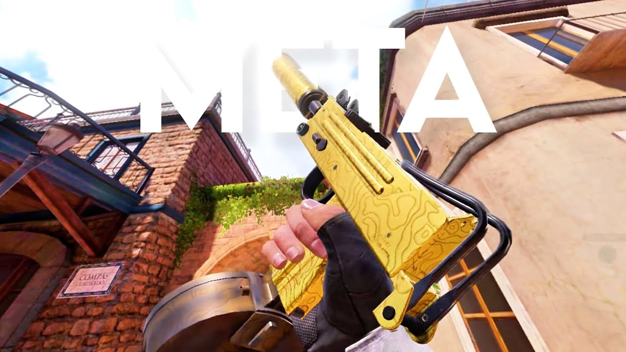 The Most Hated MAC 10 PLAYER IN CODM