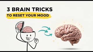Famous 3 Brain Tricks to Instantly Reset Your Mood (15 Seconds) Wealth