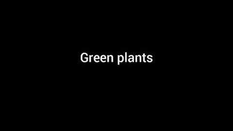 Grade-4 Sub- Science Topic- Green Plants Video-1 by Ms. Kanika