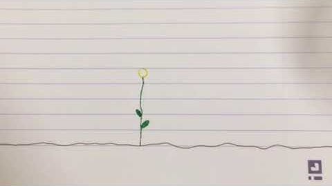 Flower Stop Frame Animation