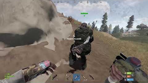 Random rust highlight clips