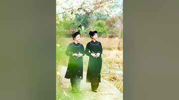 LƯỢN CỌI : Bản Sắc Dân Tộc Tày - Lời : Thuý Mười