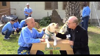 We meet dogs working with inmates in this episode of AnimalZone - Season 2, Episode 12 by Animal Zone 400 views 4 years ago 30 minutes