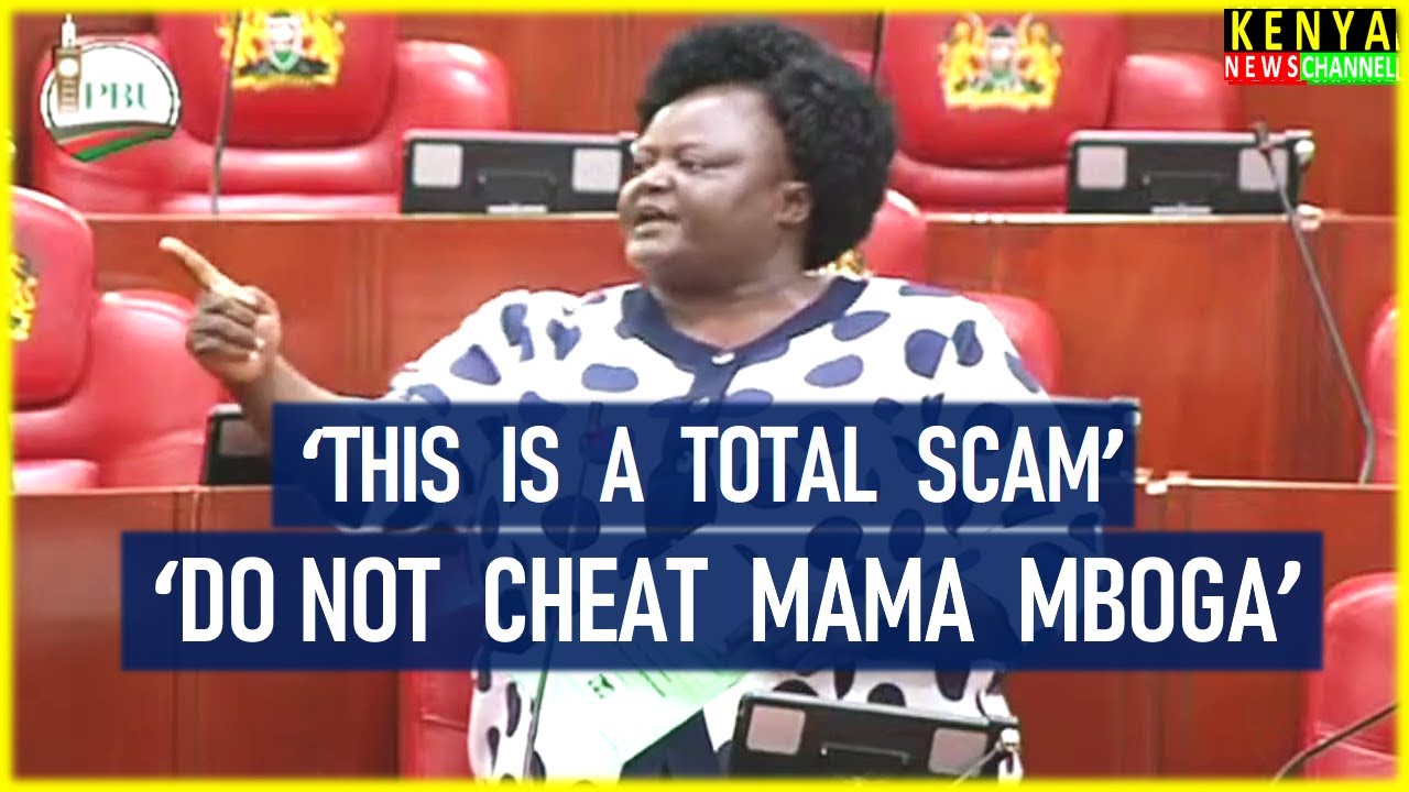 Homa Bay Woman Rep Joyce Bensuda DESTROYS Ruto's Housing Bill in Parliament
