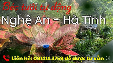 Lắp Đặt Hệ Thống Tưới Cây Tự Động Tại Nghệ An & Hà Tĩnh | Béc Nhỏ Giọt, Van Điện Từ, Cảm Biến