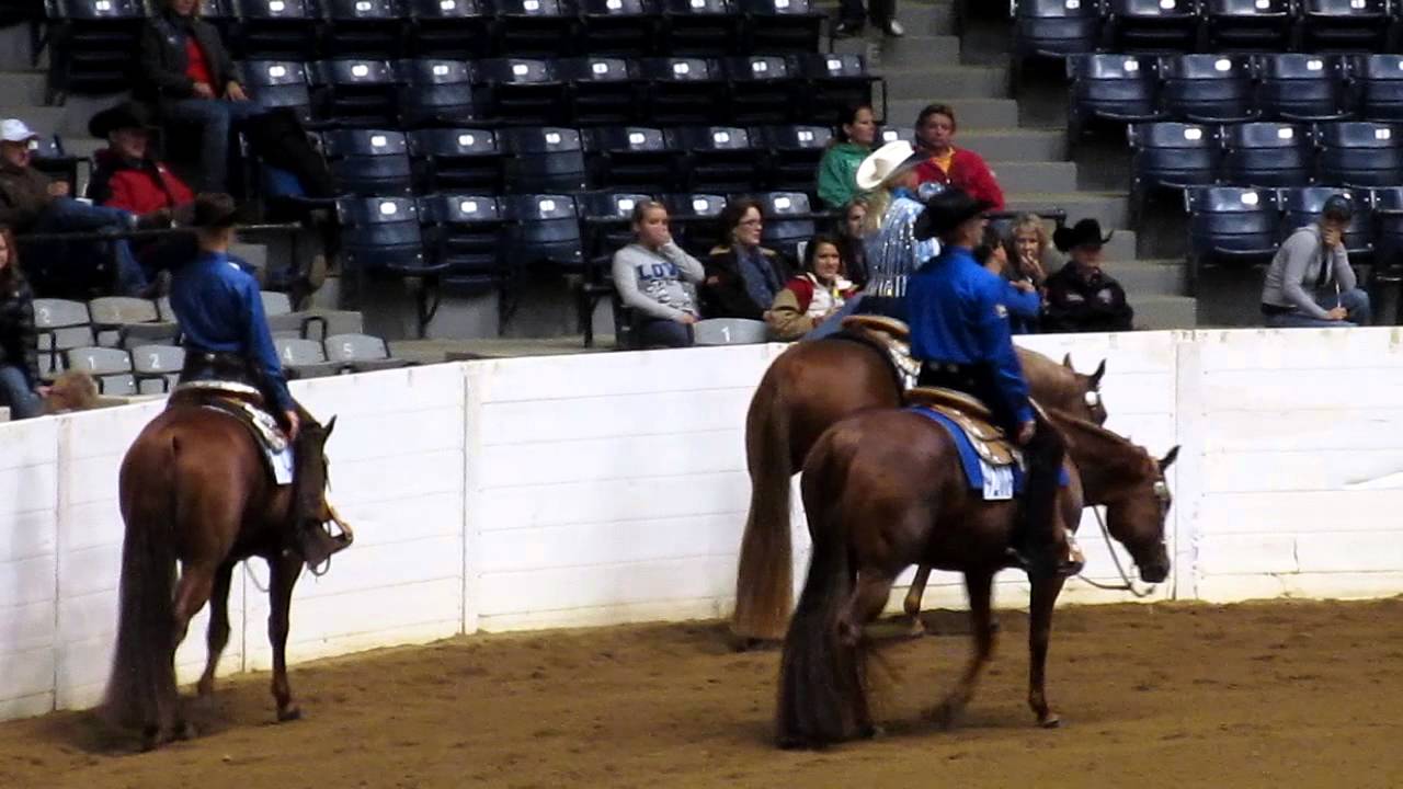 ONA Good Impulse at the 2012 AQHA Congress YouTube