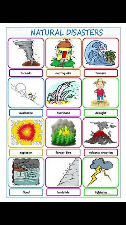 Some Natural Disasters||  Name of disasters and image