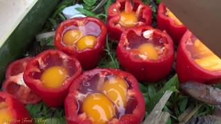 Survival skills: Finding food meet bell pepper - Cooking eggs in bell pepper - Eating delicious