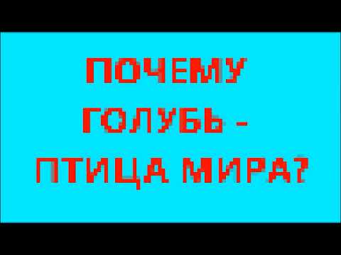 Почему голубь - это символ мира?