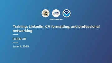 Training: LinkedIn, CV formatting, and professional networking