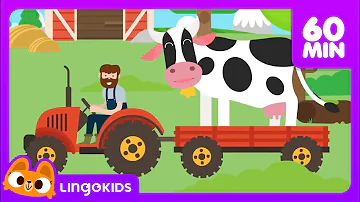 Old MacDonald Had a Farm & More Animal Songs for Kids 🐄 🚜| Lingokids