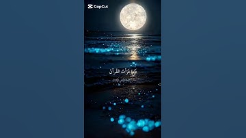 سورة النحل | القرآن الكريم 🕋🤯 أرح سمعك وقلبك 🎧🤲 اكـتـب 📝 شـيء تـؤجـر عـلـيـه #قران_كريم