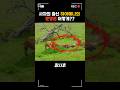 사자의 충신 하이에나 운명은 어떻게 돨까 Animals 사자의 충신 하이에나 운명은 어떻게 돨까 Animals