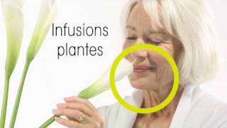 Marque Verte Pub Senior