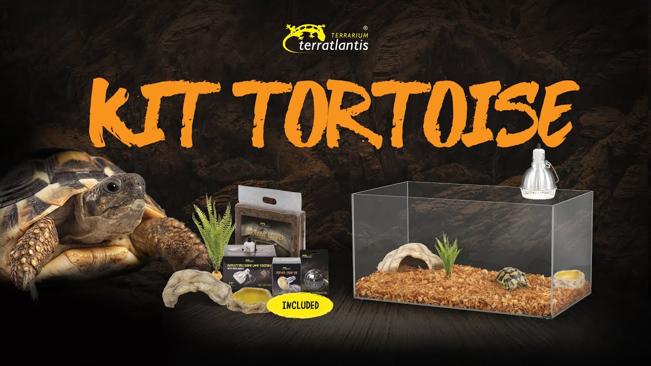 Unboxing KIT TORTOISE - Terratlantis Terrarium (by Aquatlantis)