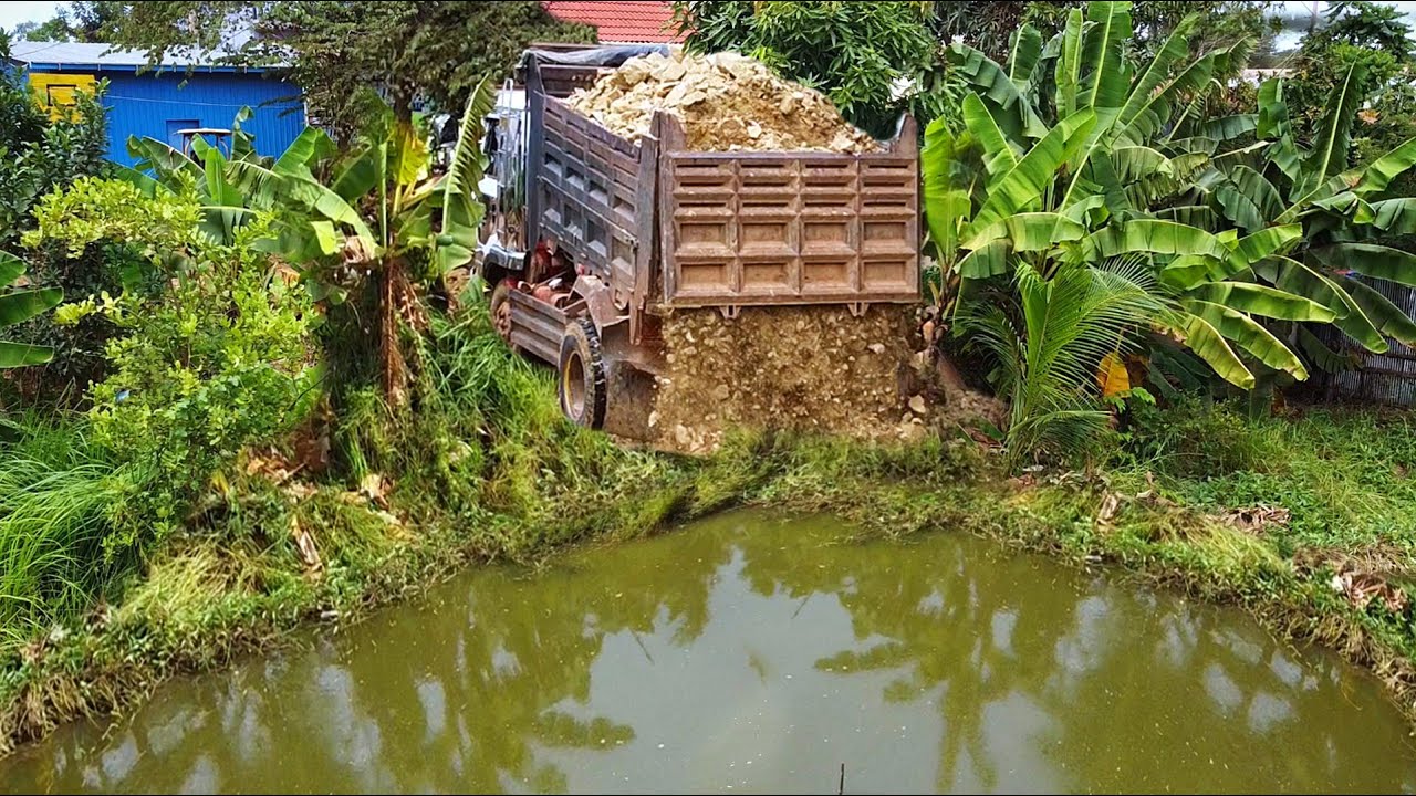 First Start New PROJECT!! Clearing Banana Tree & Landfill Deep Pond Use Strong Dozer & 5Ton Truck.