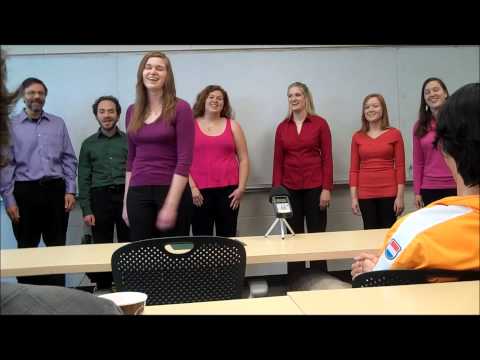 'Finite Simple Group