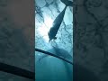 イルカ水槽　海中トンネル　クジラ博物館　ギラギラ